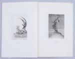 Félicien Rops (Belge, 1833-1898)
Les Diaboliques

20 illustrations pour les Diaboliques, de...