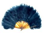 Eventail en plumes d'autruche noires, vers 1900. La monture en...