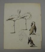 LE SOUDIER Jane (1885-1976).Réunion de 10 dessins préparatoires comprenant :-"Hyène...