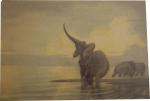 Paul MARCUEYZ (?-1952) Éléphants.Aquarelle, signée en bas à droite. 33...